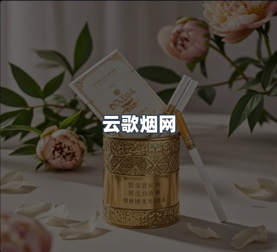 关于云歌烟网